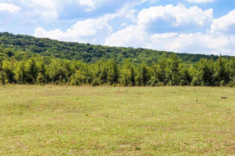 What Makes Mills County Land Valuable?
