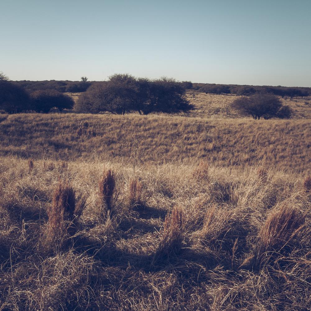 Investing in the Future of Ellis County
