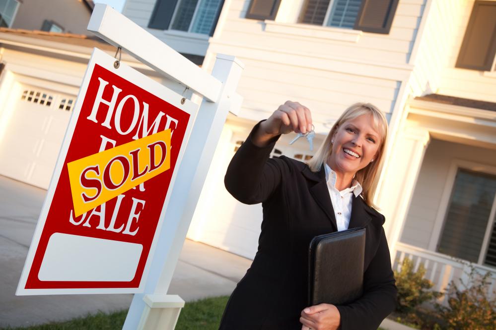 Personal Experiences with Nemo Buys Houses