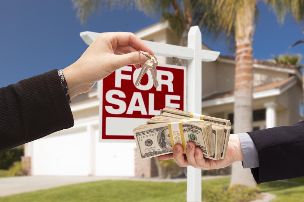 Unique Opportunities with Nemo Buys Houses