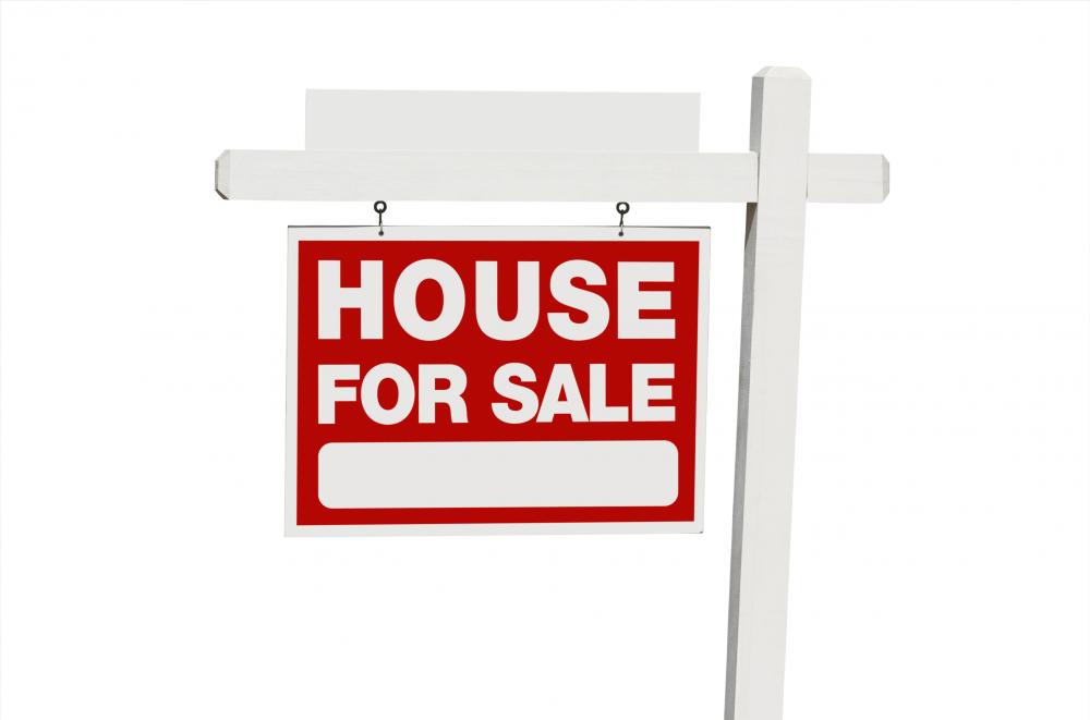 Streamlined Process with Nemo Buys Houses