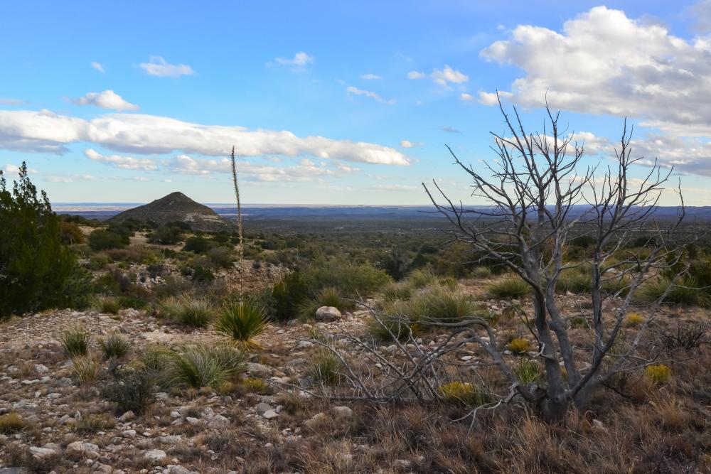 What Qualifies as an Ellis County Land Sale Emergency?