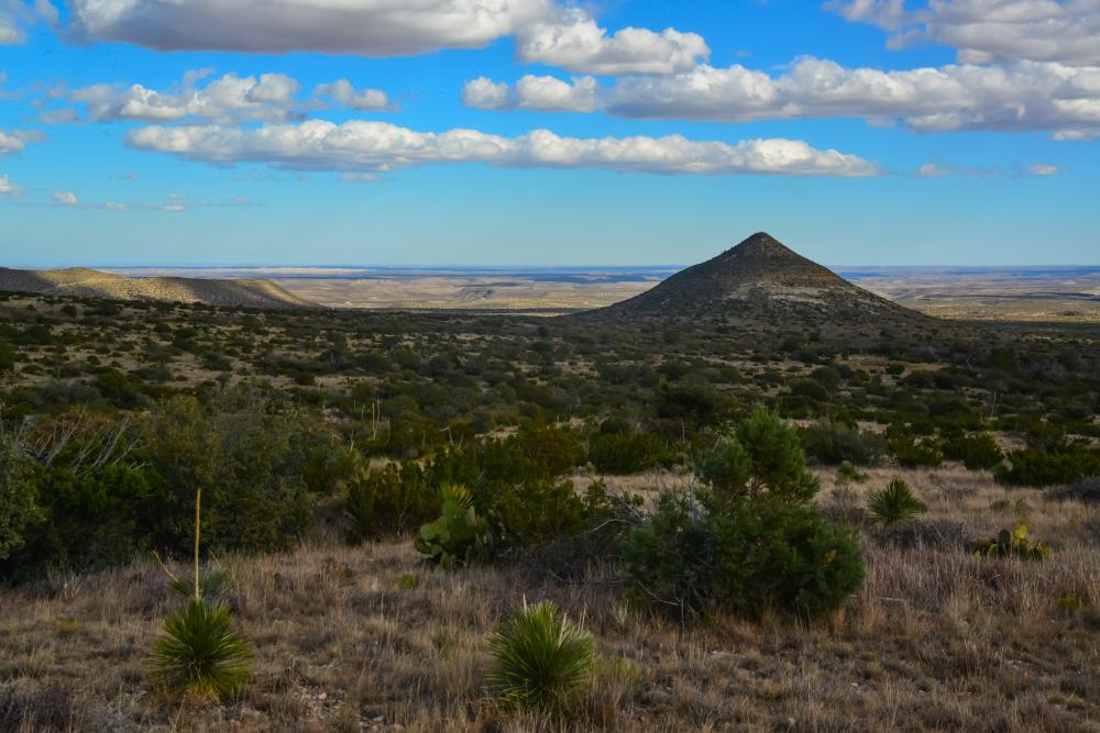 Why Consider Land for Sale Ellis County?
