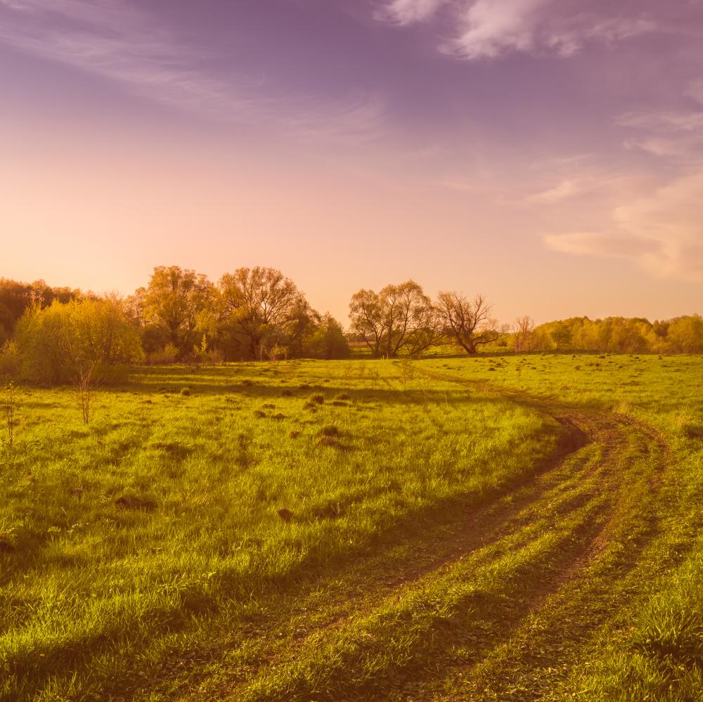The Future of Mills County Real Estate