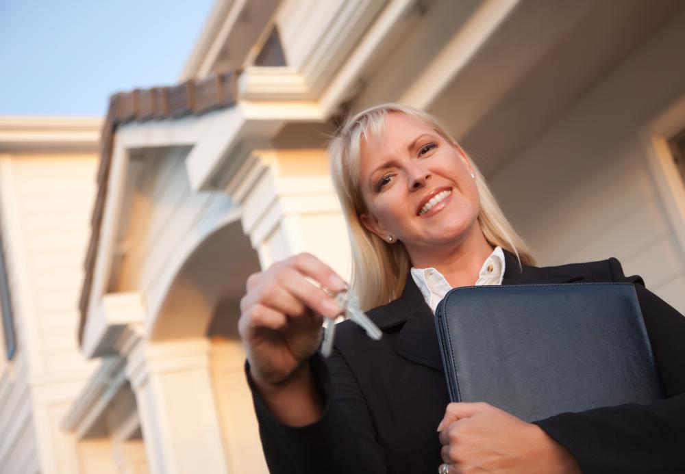 Nemo Buys Houses: The Equity Accelerator Program
