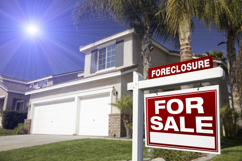 Addressing Homeowner Concerns in Tampa