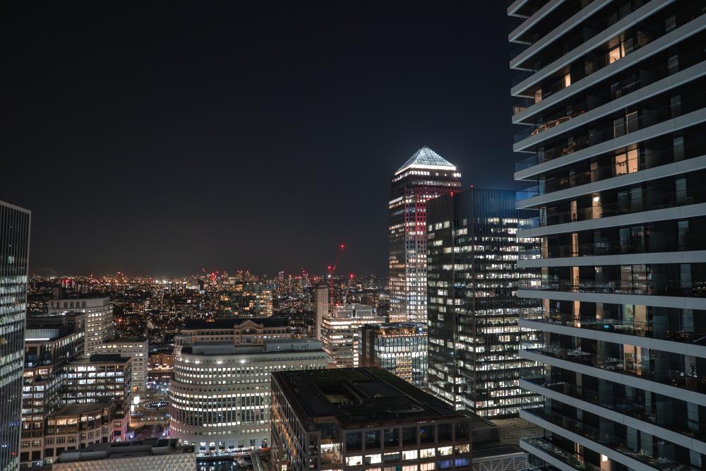 Maximizing Potential, Profits, and Value