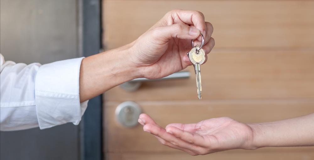 Comprehensive Services Offered