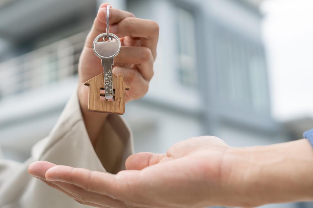 Customized Solutions for Diverse Needs