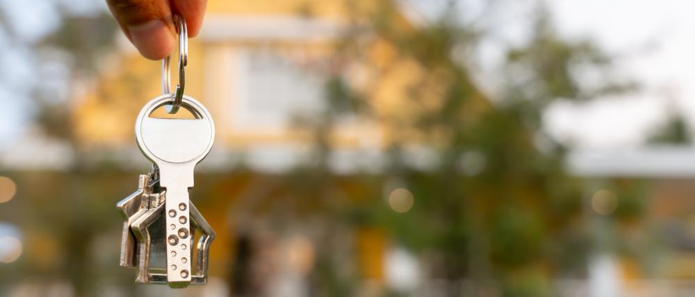 Tailored Solutions for Property Success