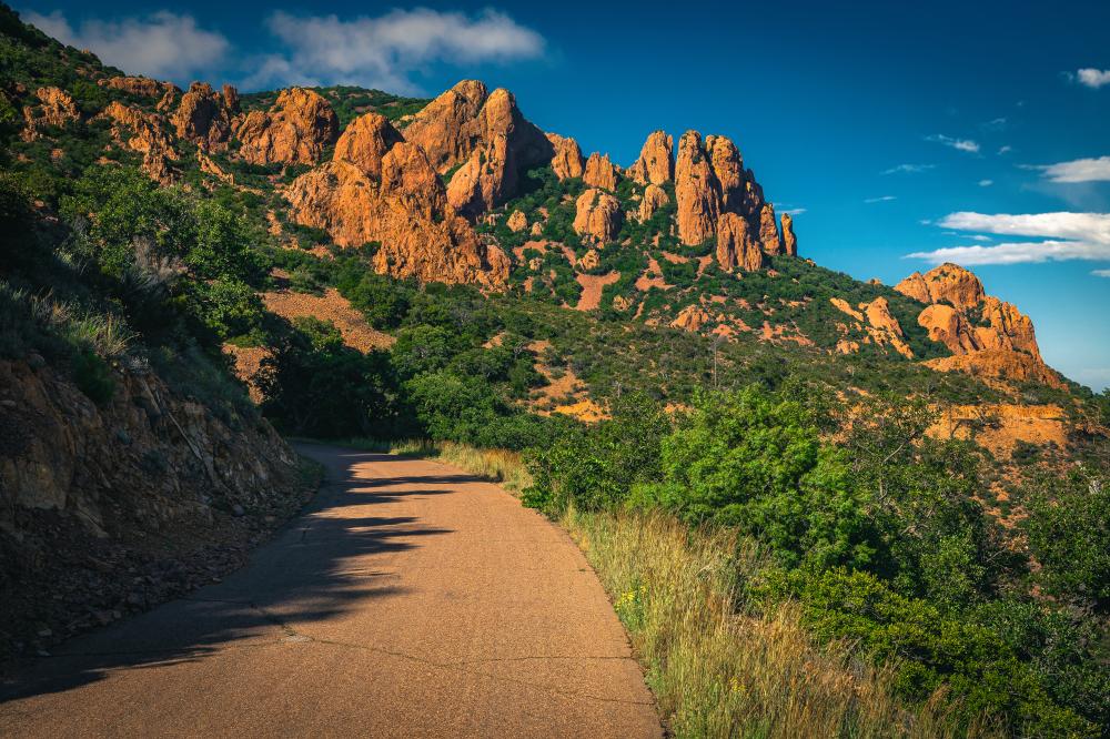 Real Estate Market Overview in Castle Rock