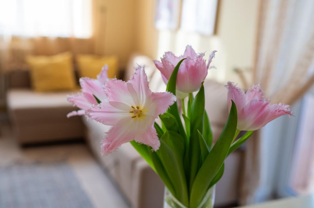 What to Consider When Choosing Manchester CT Apartments