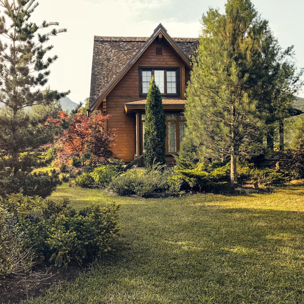 What Services Do We Offer at REvolution Properties?