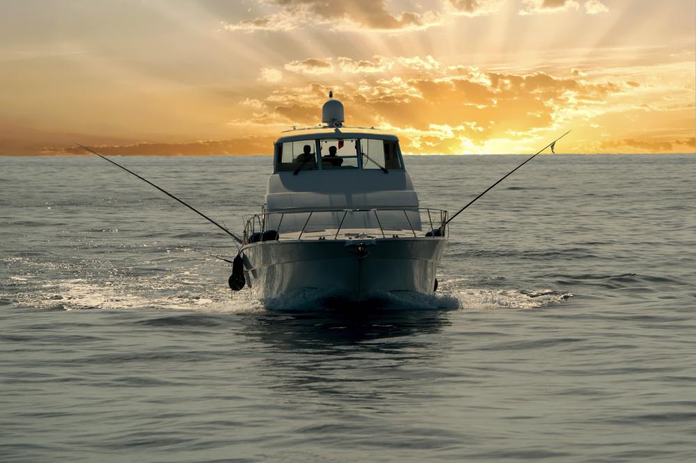 Why Choose Us for Your Key West Sport Fishing Adventure?