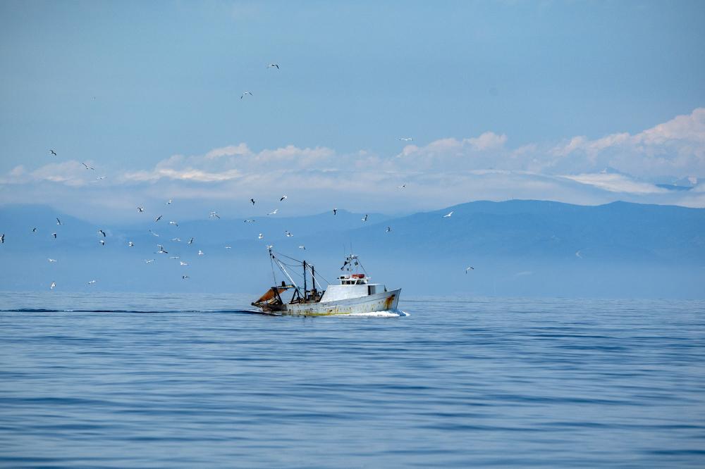 Vancouver Island Charter Experiences