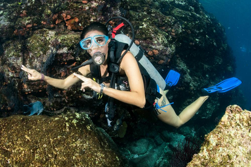 Why Choose a Private Scuba Charter in Key West?