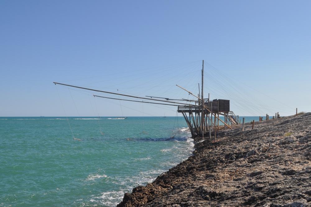 Fishing in Key West: An Unmatched Experience