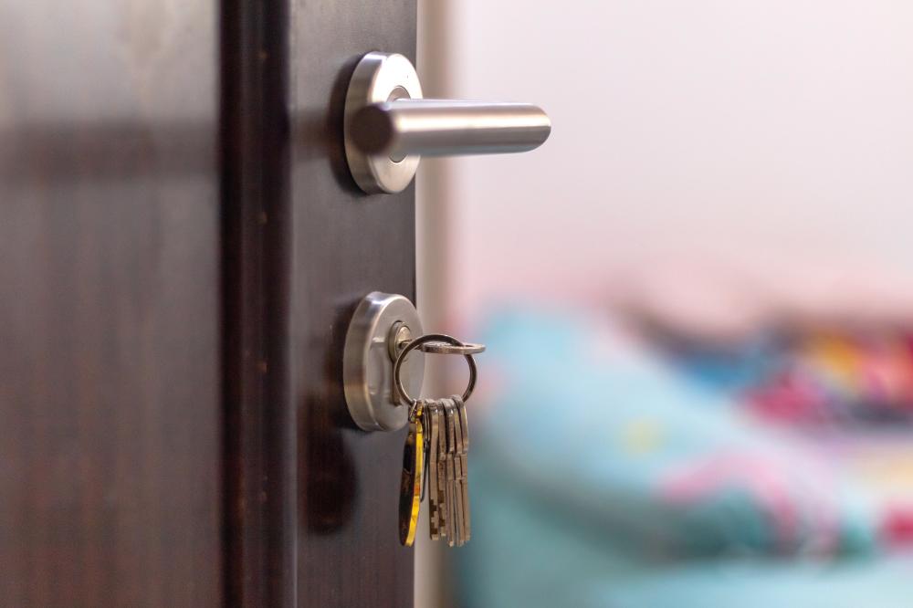 Why Choose a Professional for Your Locksmith Needs?