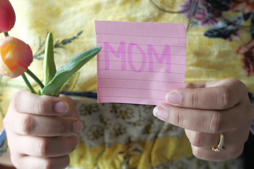 The History and Origin of Mums