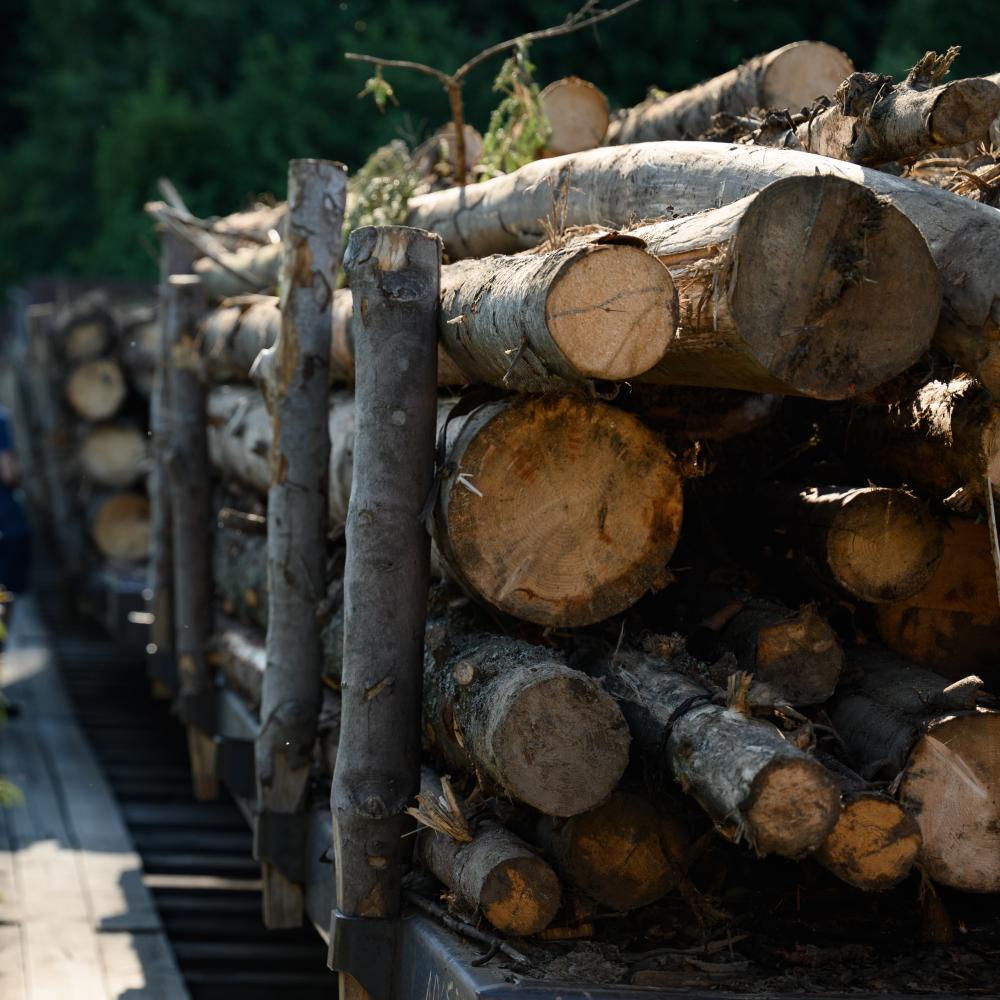 Advantages Over Traditional Firewood