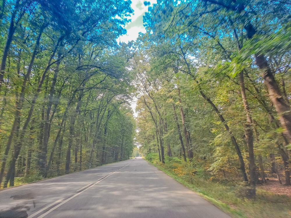 The Importance of Road Wideners in Alabama