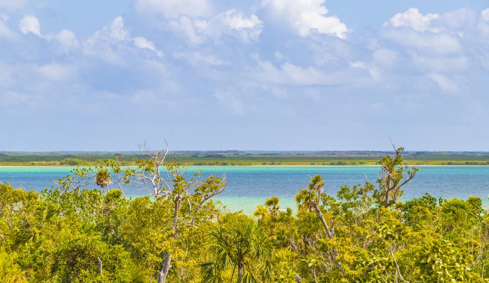 Idyllic Muyil Lagoon reflecting the paradise of Cudjoe Key Airbnb