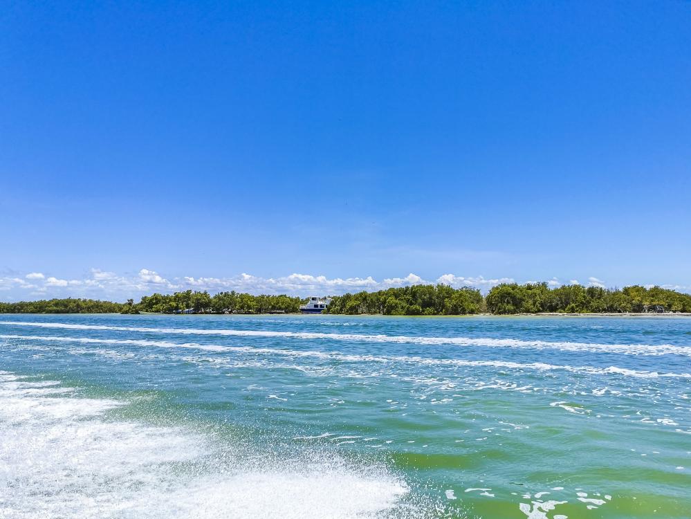 Experiencing the Thrill of Inshore Fishing