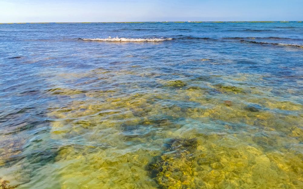 Idyllic Playa del Carmen waters inviting Florida Keys explorers