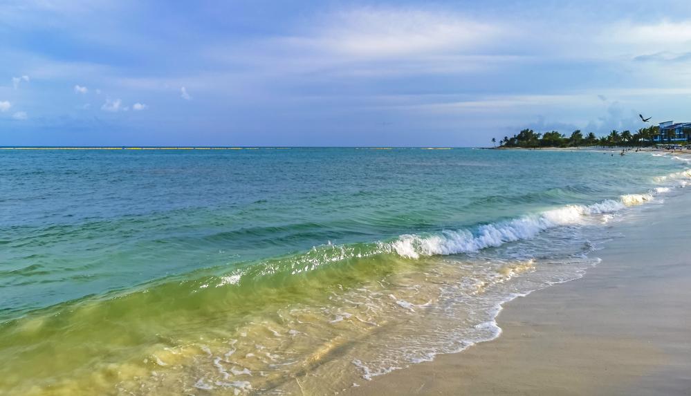 Tranquil Playa del Carmen Waterfront Reflecting Serene Florida Keys Experience
