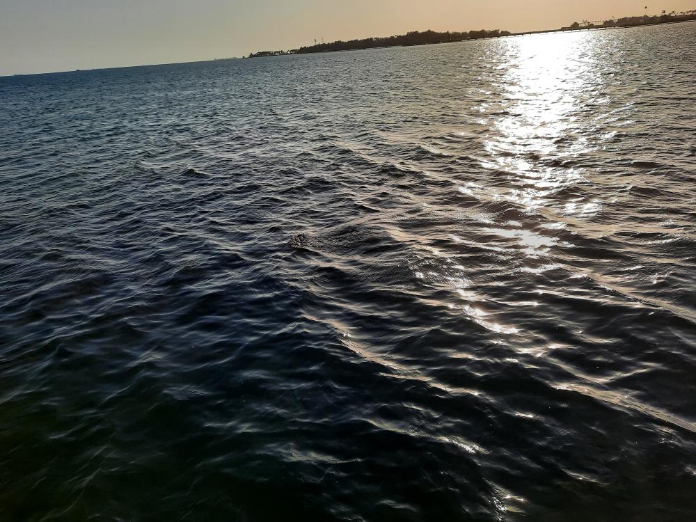 Idyllic Sunrise at Lower Keys Waterfront Airbnb