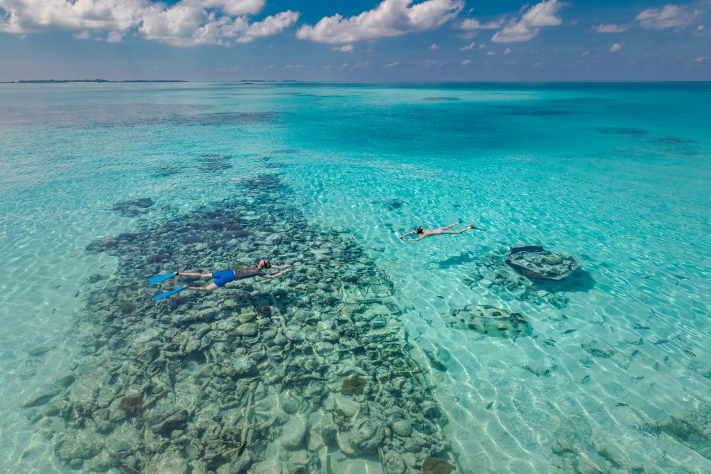 Snorkeling Guests Enjoying the Rich Marine Life