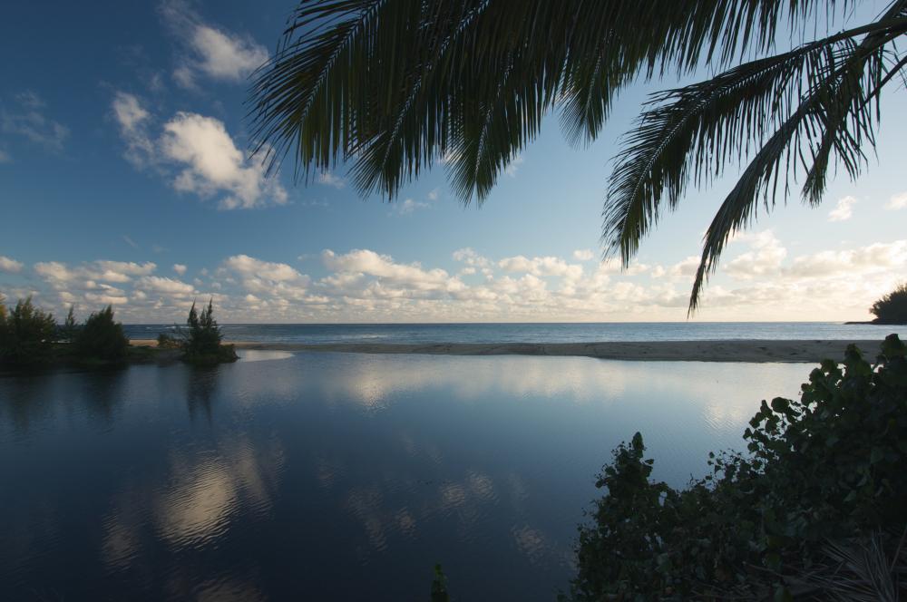 Idyllic Florida Keys Vacation Rental Overlooking Tranquil Waters