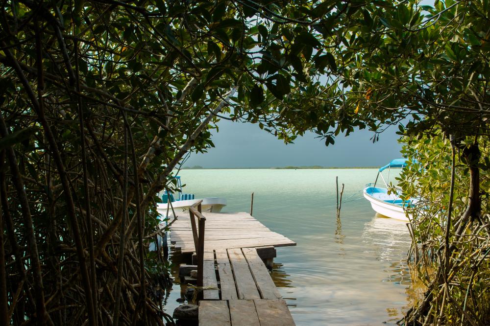 Serene Lower Keys Airbnb waterfront view