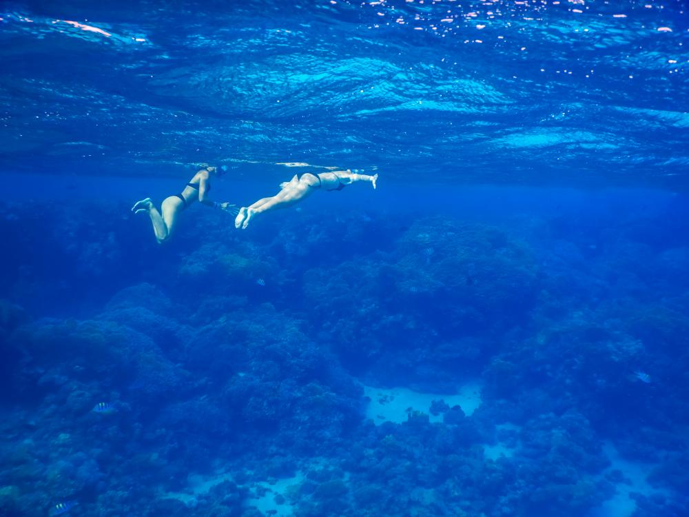Snorkelers exploring Florida Keys crystal-clear waters