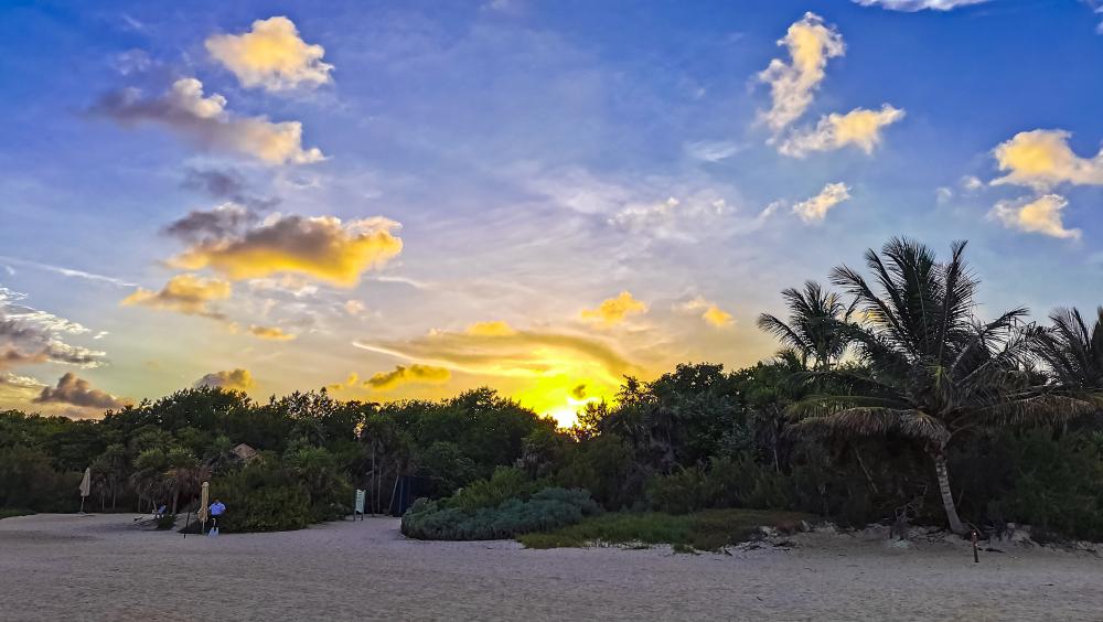 Mesmerizing Sunset on a Caribbean Beach in Florida Keys