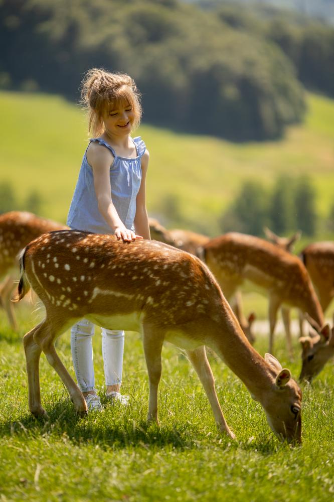 Child among reindeer showcasing integration of local fauna with vacation experiences
