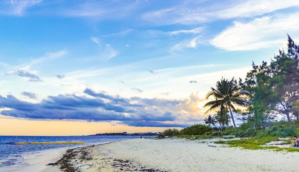 Serene Tropical Caribbean Beach by Big Pine Key Airbnb