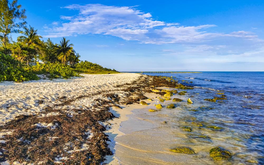 Seaweed-Free Tropical Caribbean Beach Perfect for Road Trippers