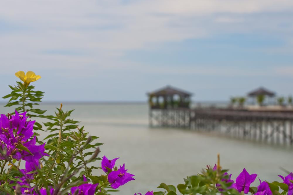 Experience Venice Like a Local