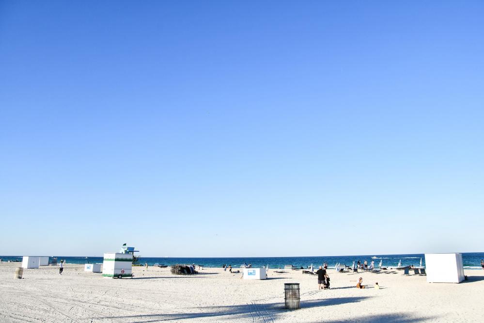 Why Choose Venice for Your Florida Getaway?
