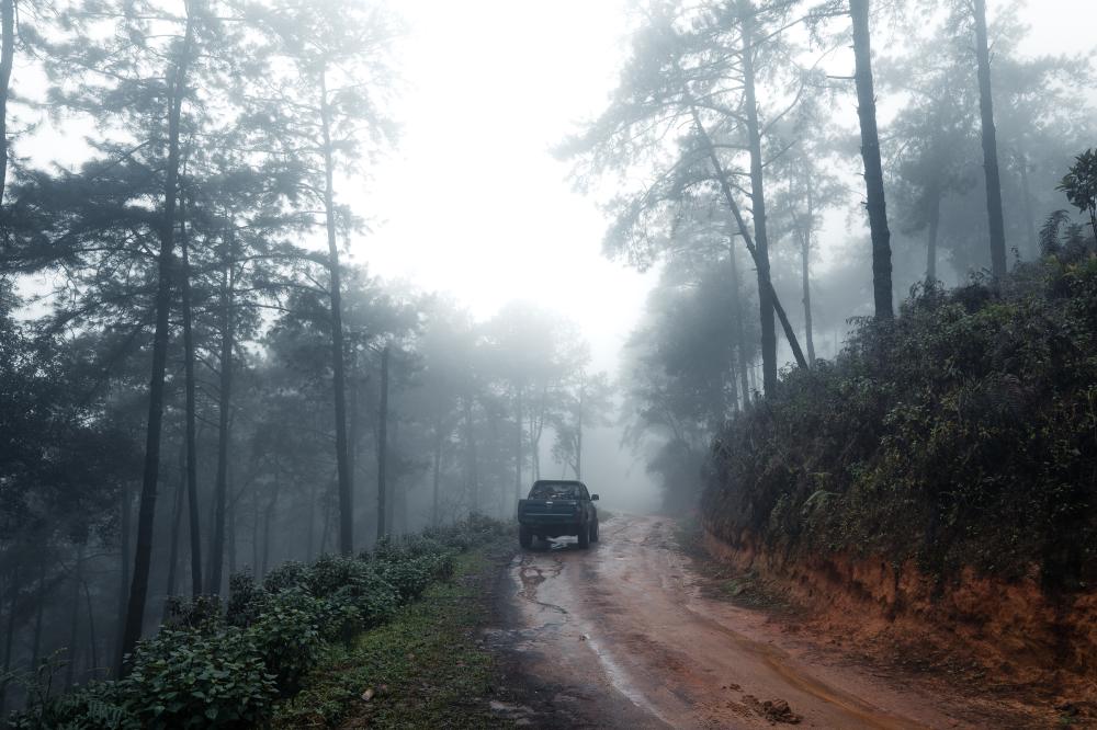 What Should You Know About Traveling in Northeast India?