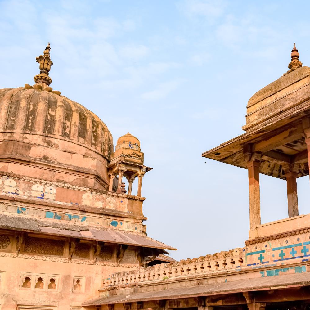 Best Time to Visit Ranthambore National Park