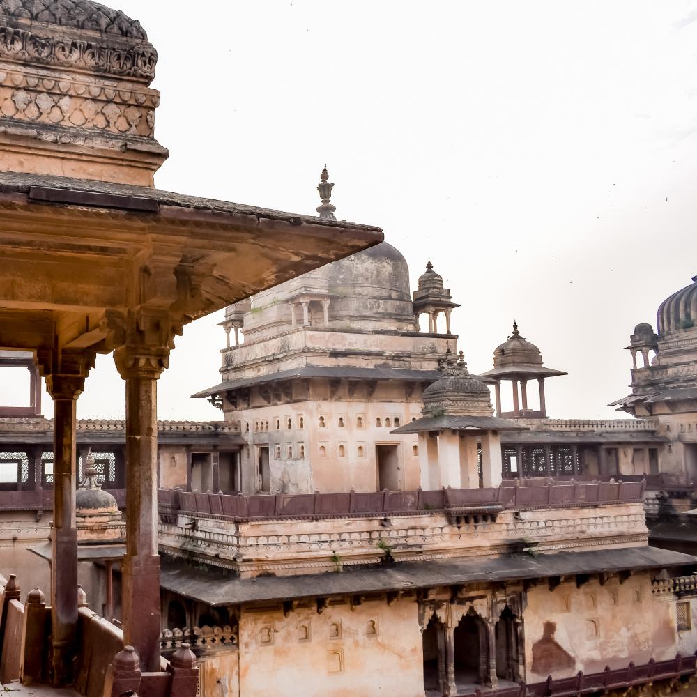 How Does a Rajasthan Travel Company Add a Personal Touch?