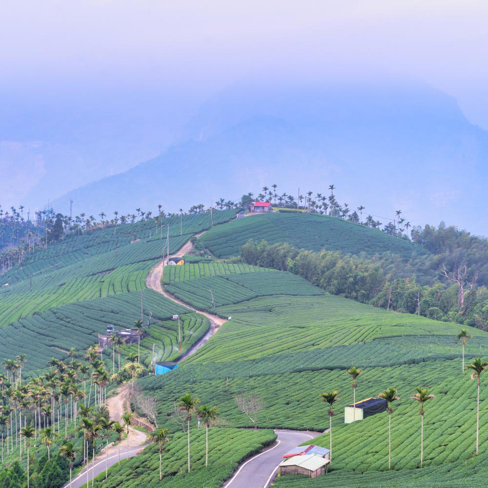 The Munnar Adventure Awaits