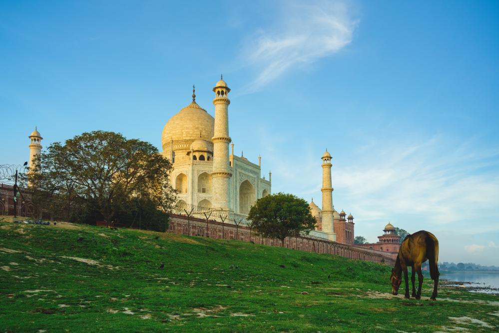 Why Choose Discovery Prime Tours for Luxury India Tours?