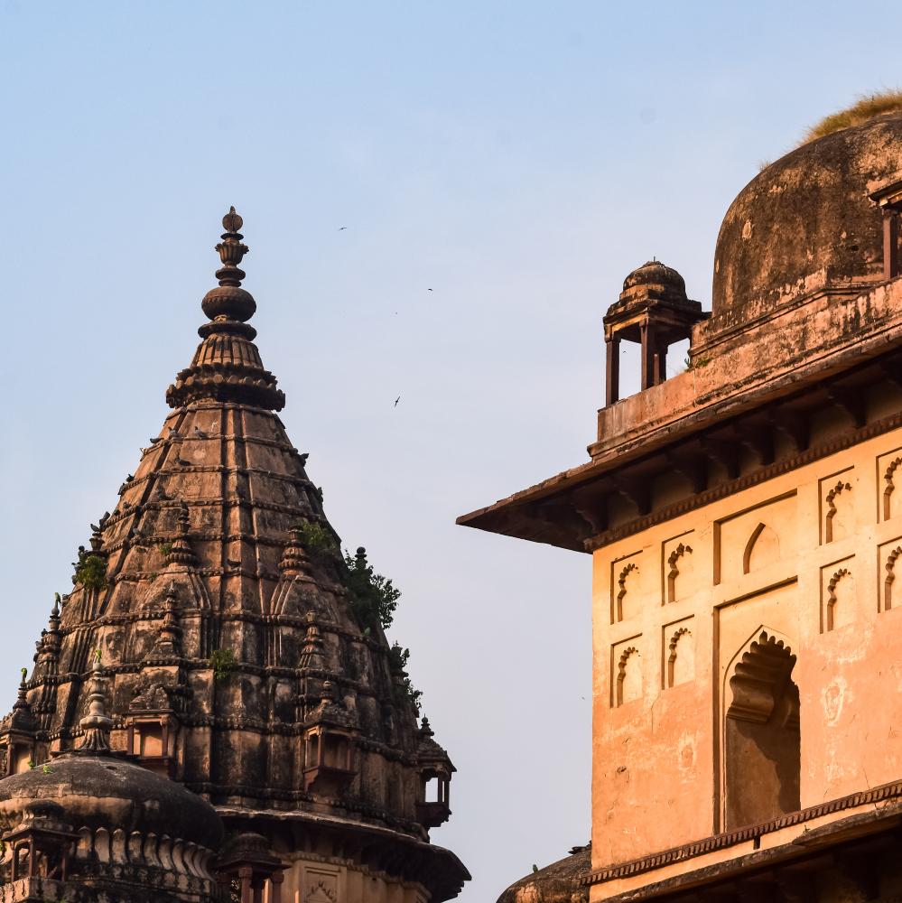 Benefits of Booking Ranthambore Safari with Discovery Prime Tours