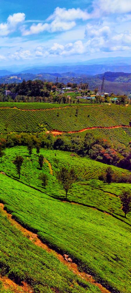 Why Select Discovery Prime Tours Among Kerala Tour Operators?