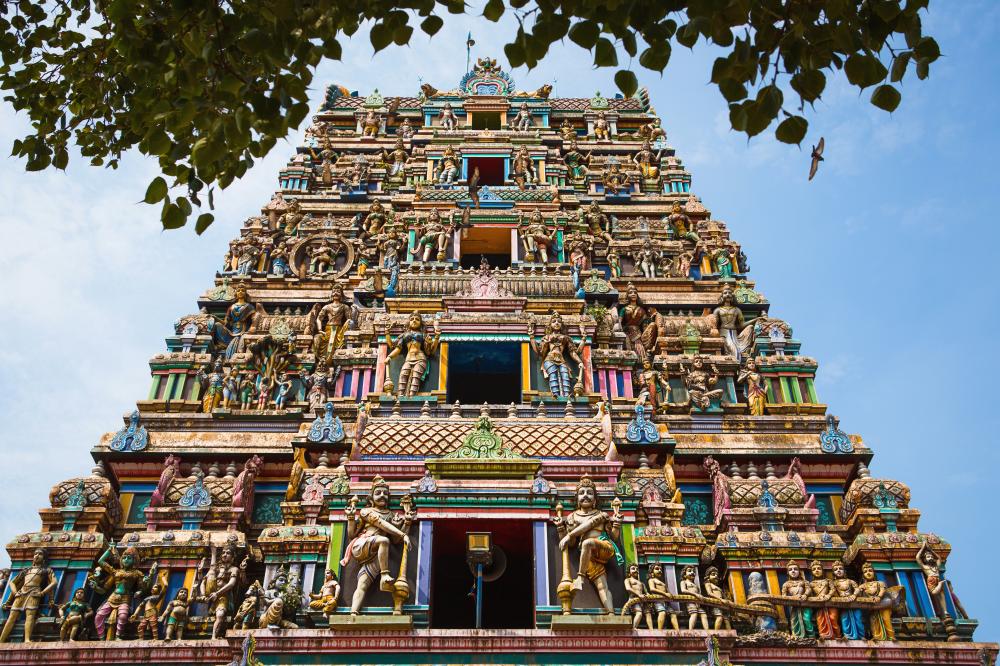 Why Choose Tamilnadu Tour Packages with Discovery Prime Tours?