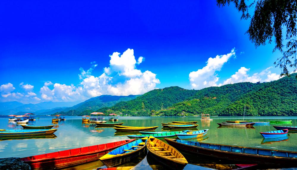 Customized Tour Packages for North East India