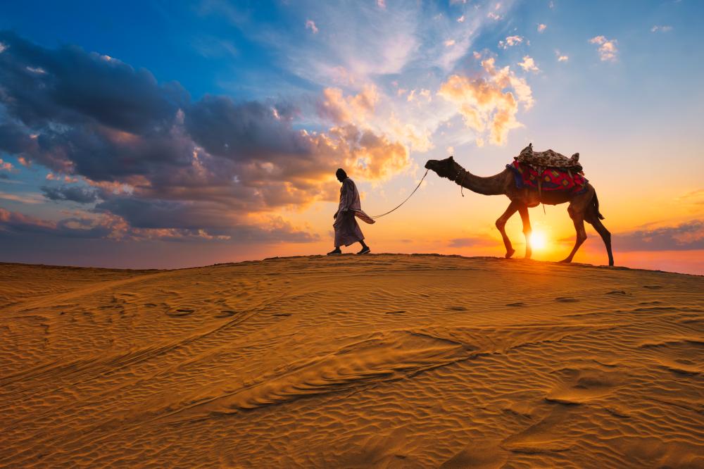 Key Attractions in Rajasthan